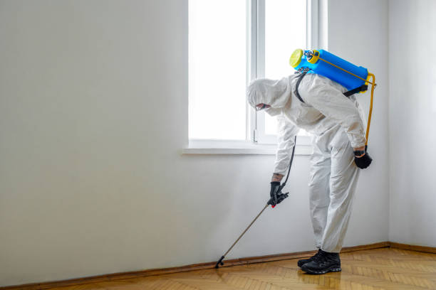 Wasp Removal Services in Weddington, NC