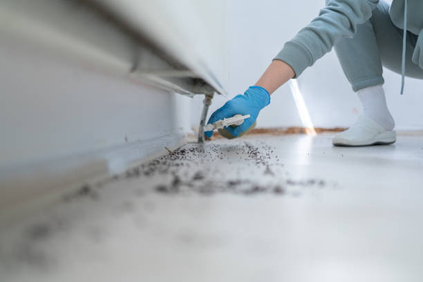 Best Cockroach Control Services  in Weddington, NC